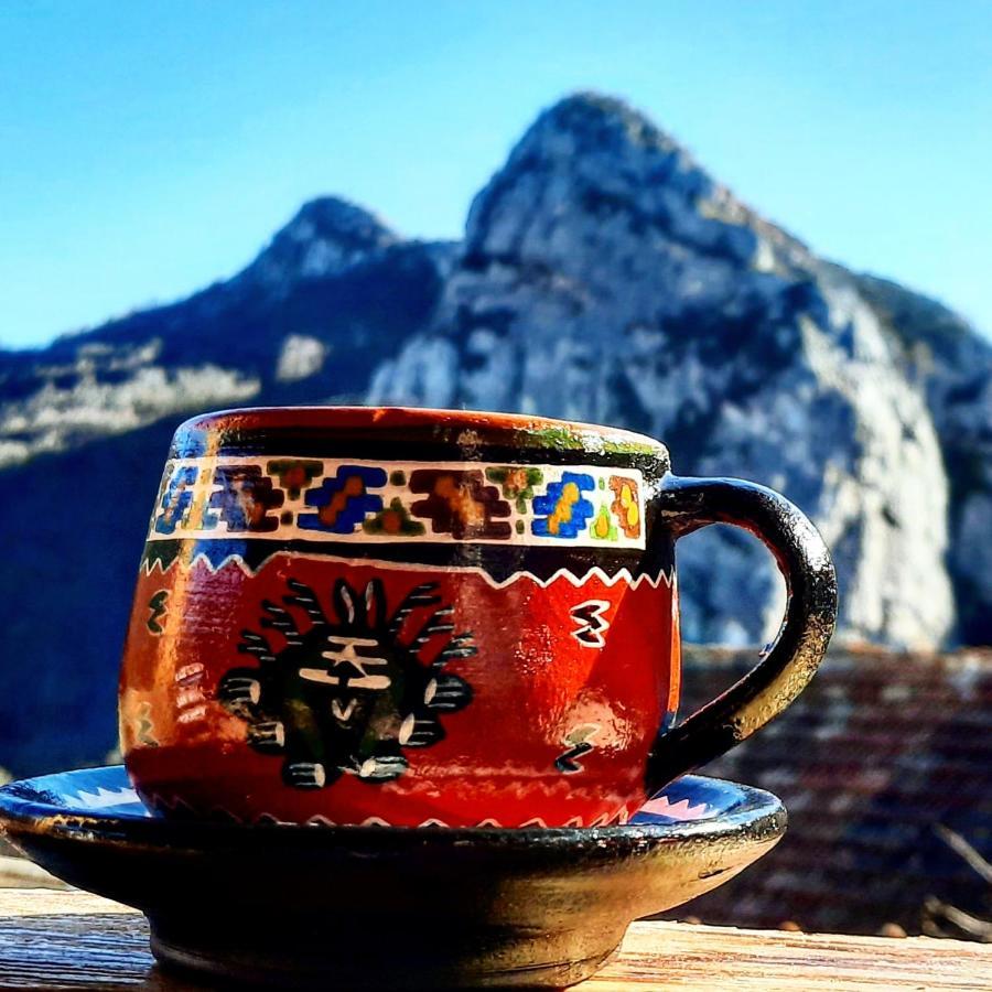 Golemi Kamik Pirot Villa Buitenkant foto