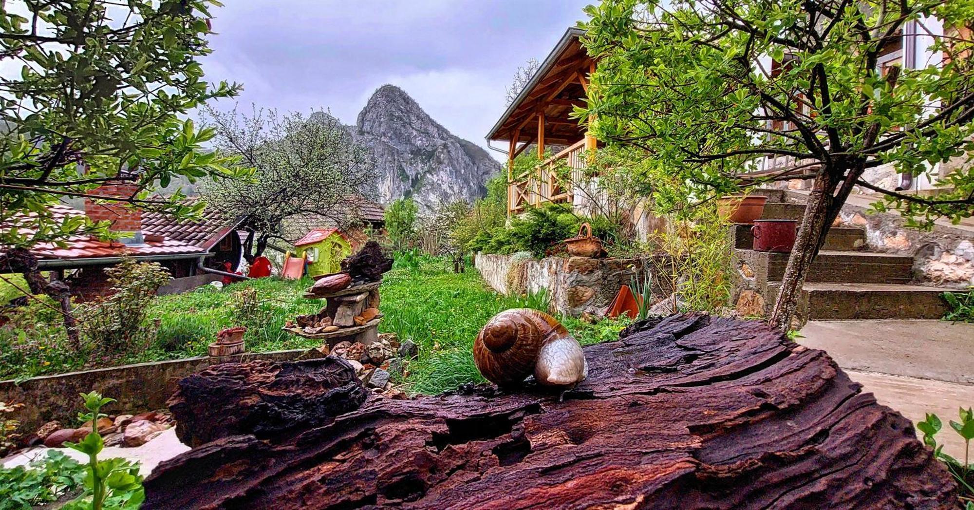 Golemi Kamik Pirot Villa Buitenkant foto