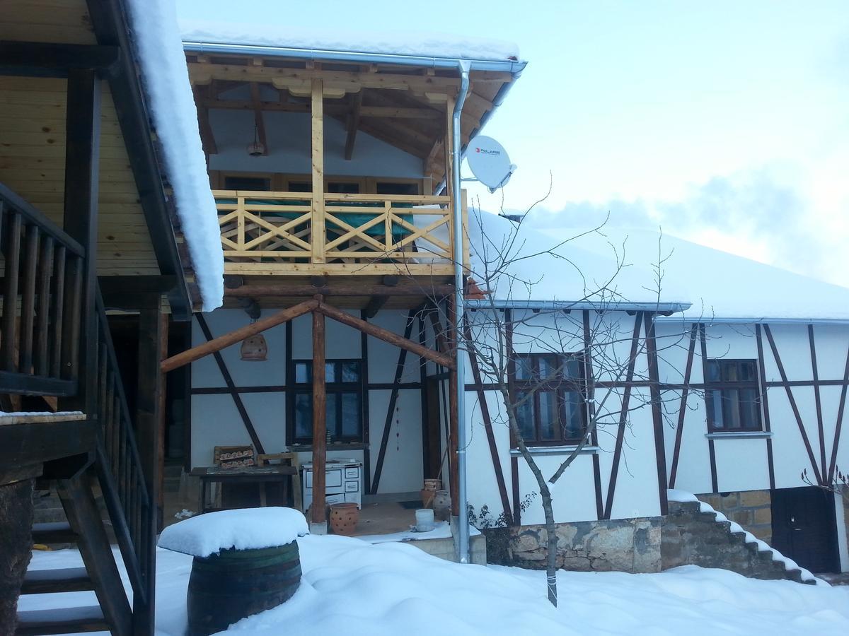 Golemi Kamik Pirot Villa Buitenkant foto