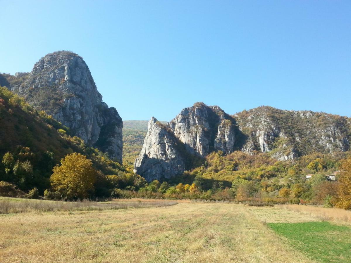 Golemi Kamik Pirot Villa Buitenkant foto