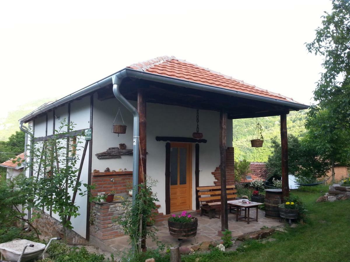 Golemi Kamik Pirot Villa Buitenkant foto